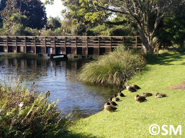 Photo d'Hamurana Springs Rotorua Nouvelle-Zélande