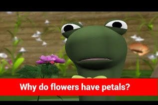 Why Do Flowers Have Petals - Kids Most Asked Why?