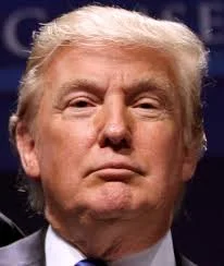 Donald Trump  Biography
