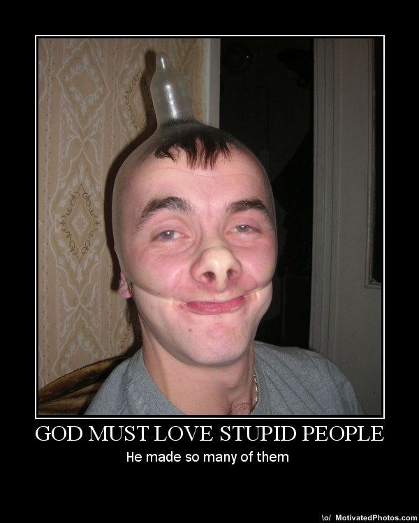 ... stupid and avoid being stupid.... Yep! They are really funny and supid