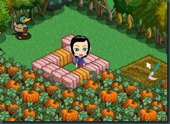 BearFarmville
