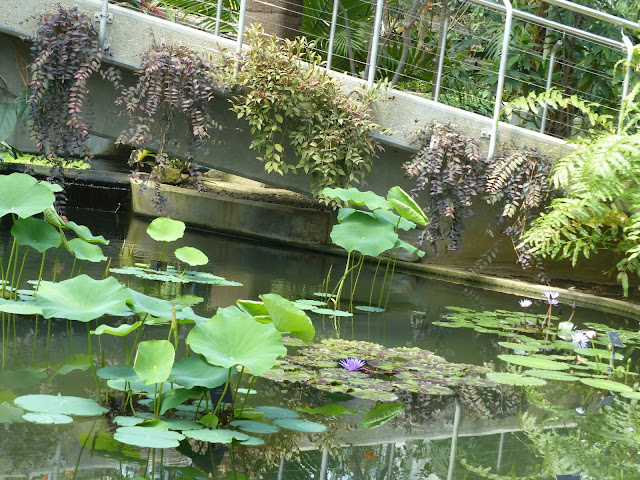 serres Kew Gardens Londres