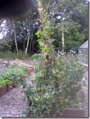 Image014