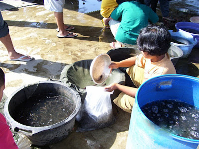 Pasar Ikan Cangkringan