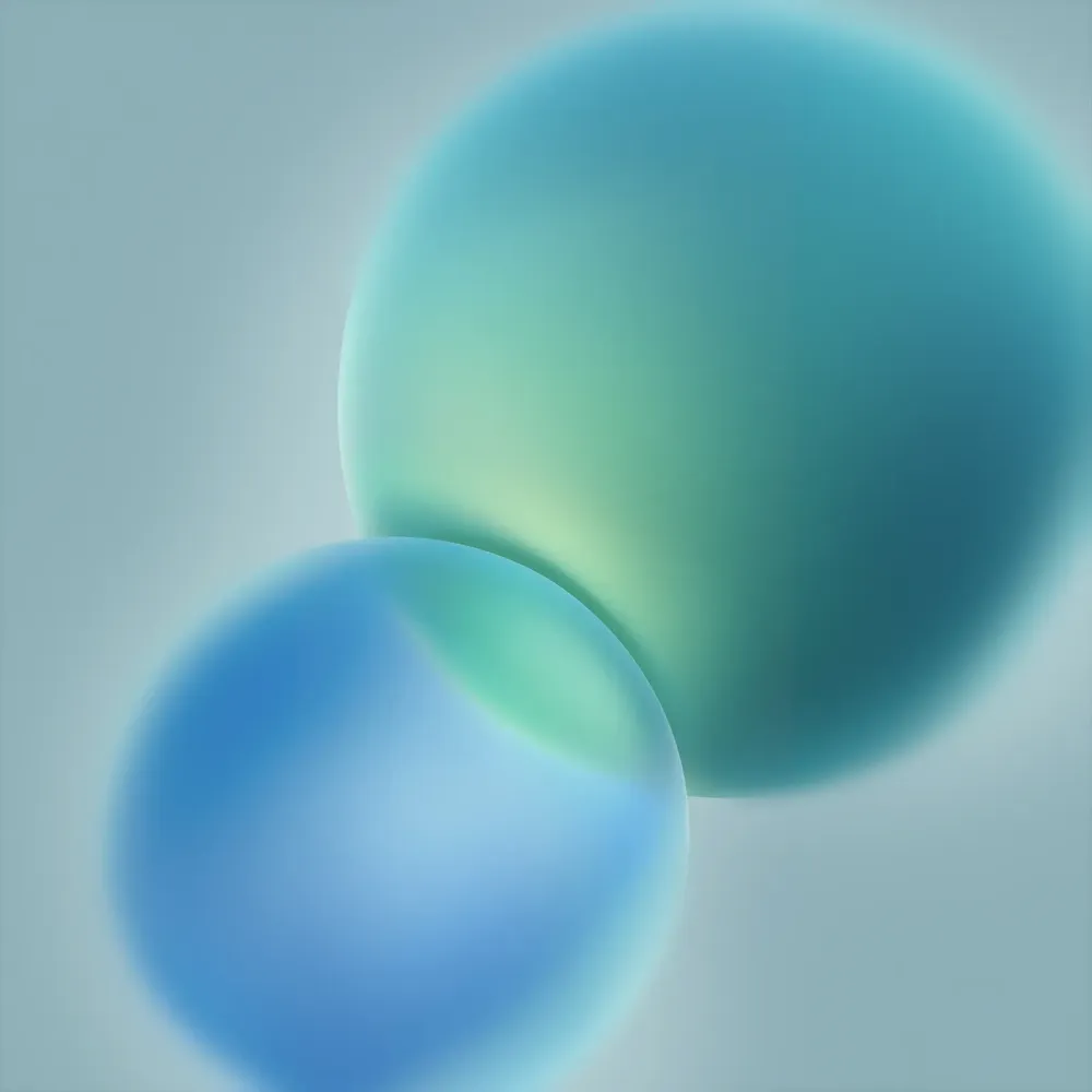 08