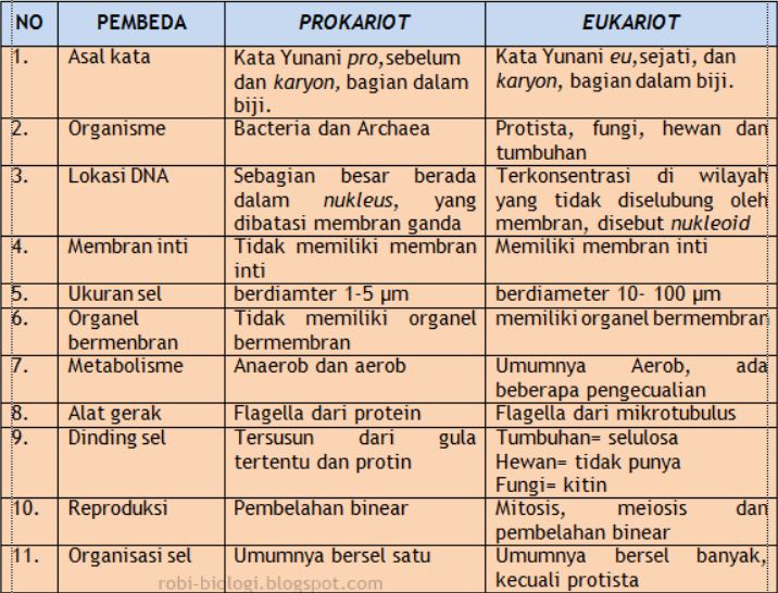 Jelaskan Perbedaan Antara Sel Prokariotik Dengan Sel Eukariotik