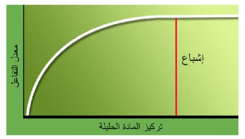 الشكل 1: العلاقة بين تركيز المادة الحليلة ومعدل التفاعلات التي تنشطها الأنزيمات.