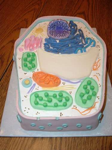 animal cell cake ideas.