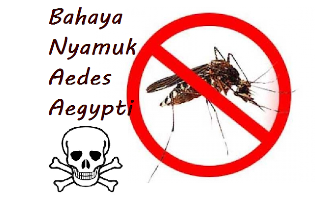 Beberapa Cara Mengelakkan Nyamuk Aedes Aegypti