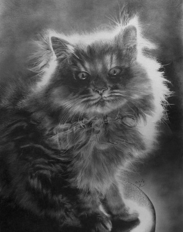 Bila gambar  bersuara Lukisan  Kucing yang sangat detail