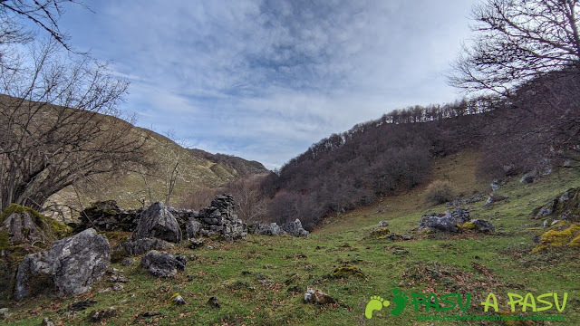 Majada Quintaniella, Caso