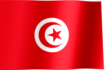 The waving flag of Tunisia (Animated GIF)