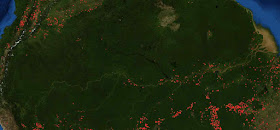A área em verde escuro é a floresta amazônia Destaca-se a escasez aguda de fogos, com exceção das áreas de fronteira. Fonte: FIRMS ou Fire Information for Resource Management System