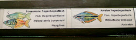 Aquarium Luisenpark Mannheim