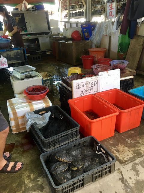 cow market, shanhua, tainan, taiwan