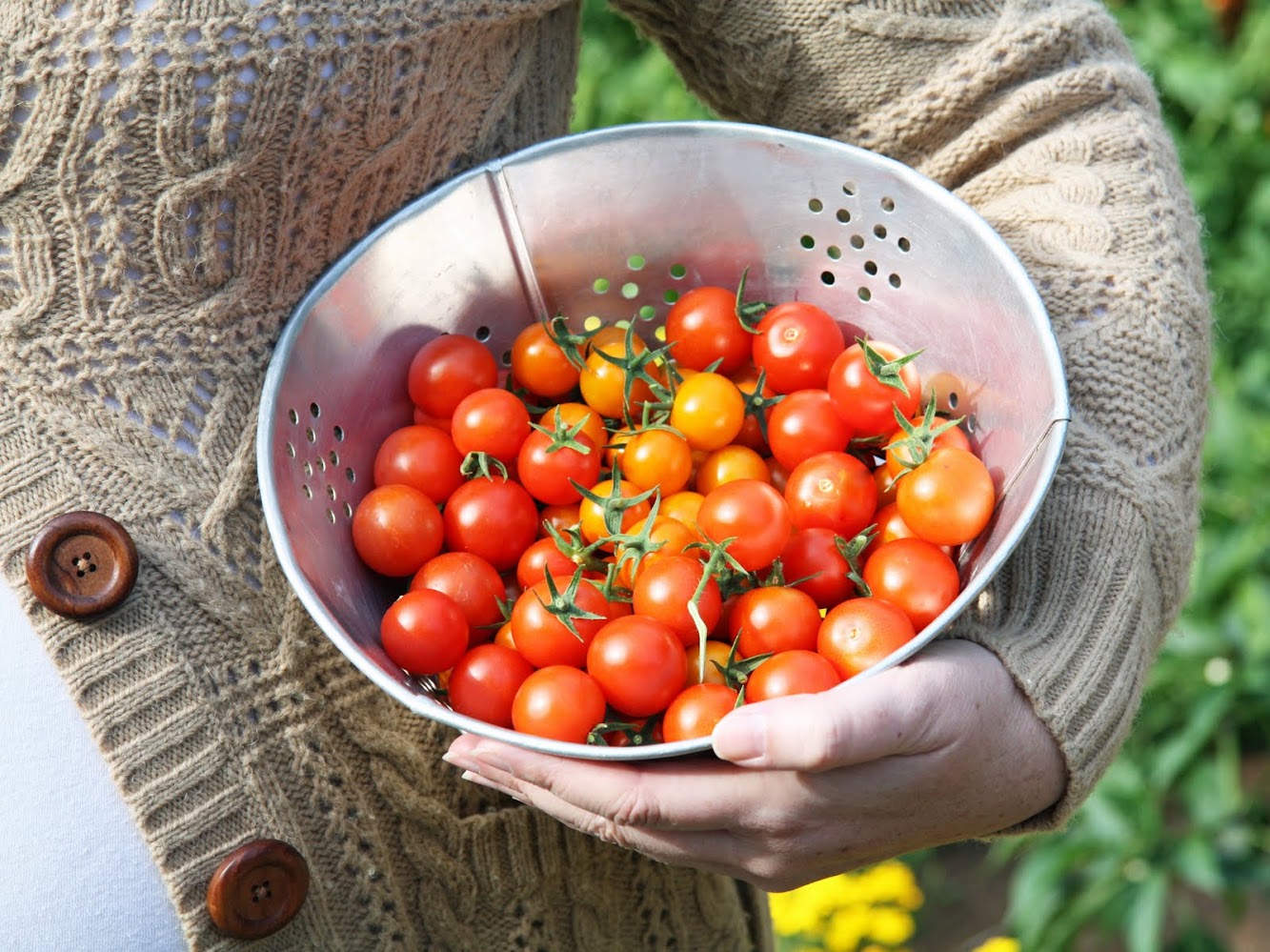 Tomatoes!