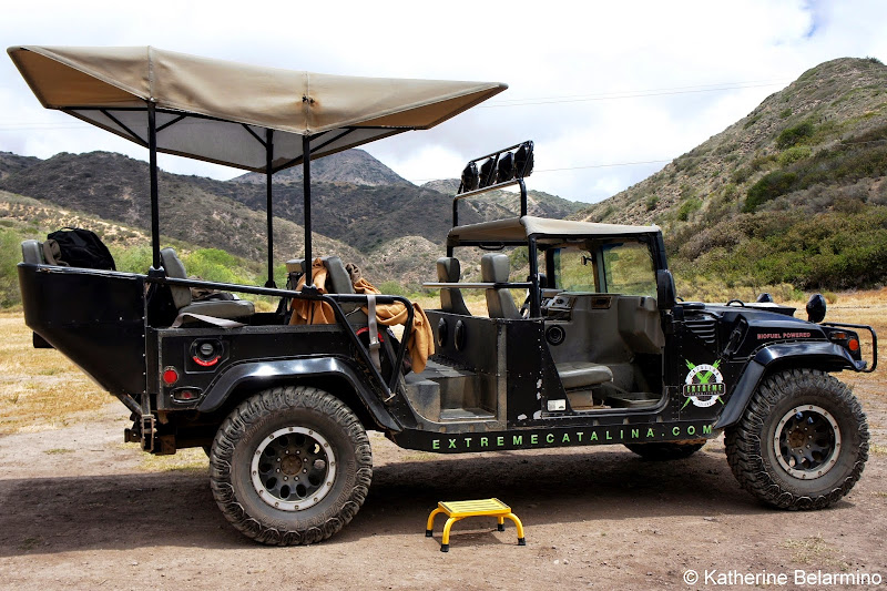 Cape Canyon Expedition Hummer