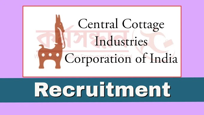 Central Cottage Industries Corporation of India Ltd. Require Manager(Finance). 