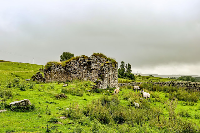 Black Middens and the Border Reivers Trail, Northumberland, 40 coast and country walks, Mandy charlton, photographer, writer, blogger