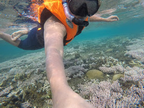 snorkeling Pulau Tioman, Malaysia