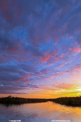  Sunset Arthur R. Marshall Loxahatchee National Wildlife Refuge Florida