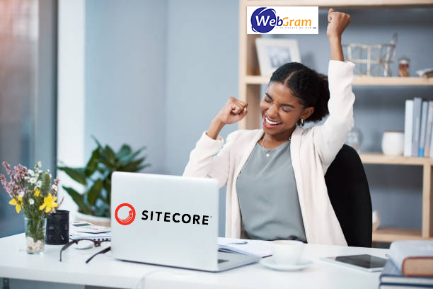 C’est quoi Sitecore ? WEBGRAM, meilleure entreprise / société / agence  informatique basée à Dakar-Sénégal, leader en Afrique, ingénierie logicielle, développement de logiciels, systèmes informatiques, systèmes d'informations, développement d'applications web et mobiles