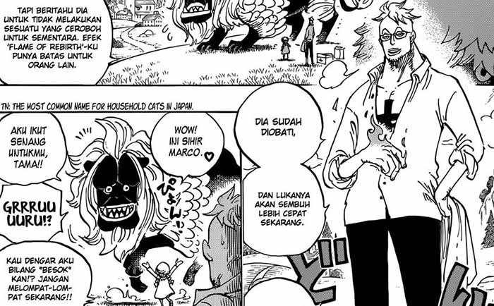 Review Manga One Piece Chapter 909, Gila! Zoro Badass 