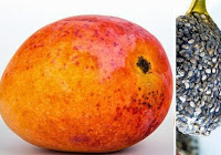 Maria Nasir Shares Her Recipe For A Refreshing Summertime Drinkable Made Amongst Mango Together With Chia Seeds