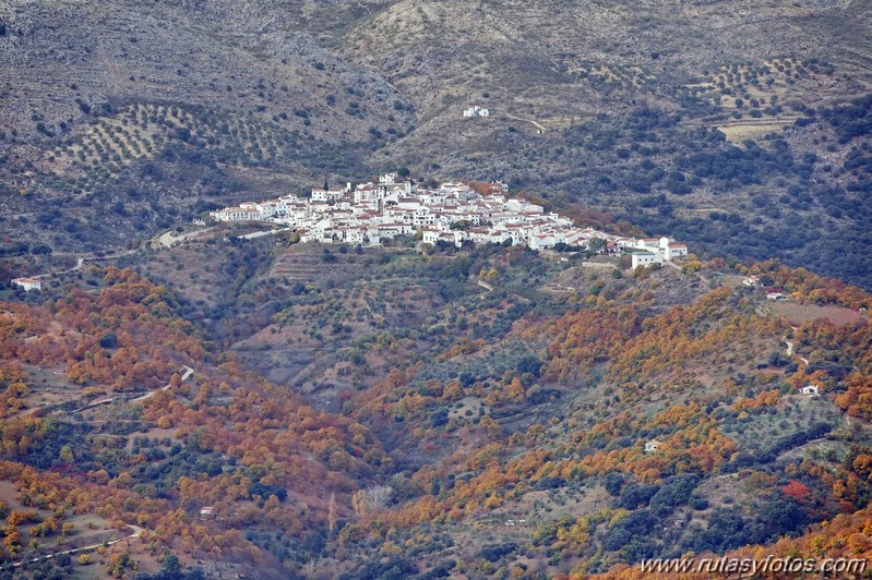 Ruta otoñal por los castañares de Pujerra e Igualeja