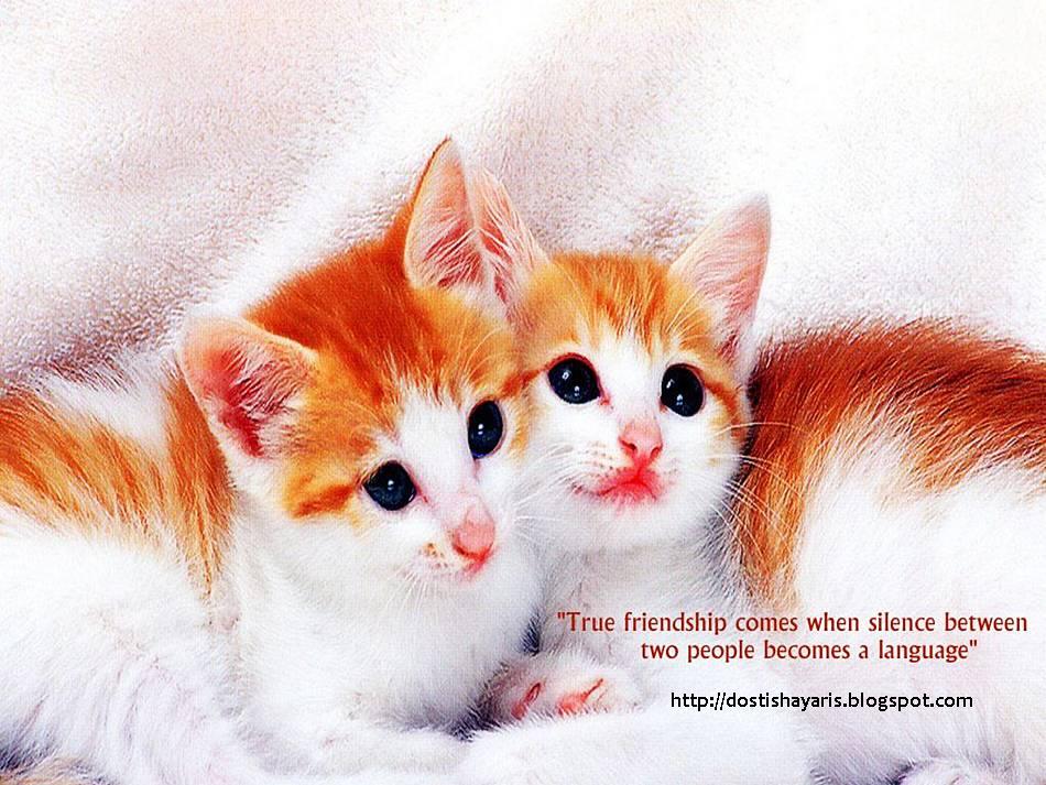 beautiful friendship quotes with. eautiful friendship quotes