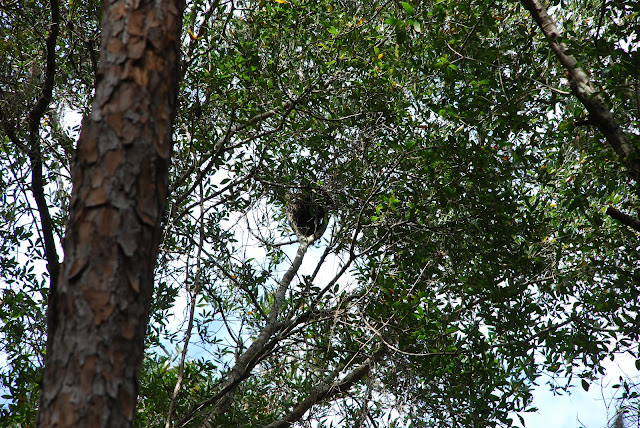 Bullow Creek State Park
