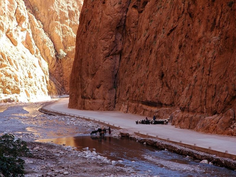 todgha-gorge-2