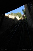IMG_1554