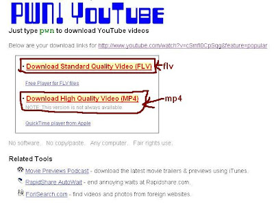 save youtube video as MP4 or FLV