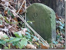 DSCF0659