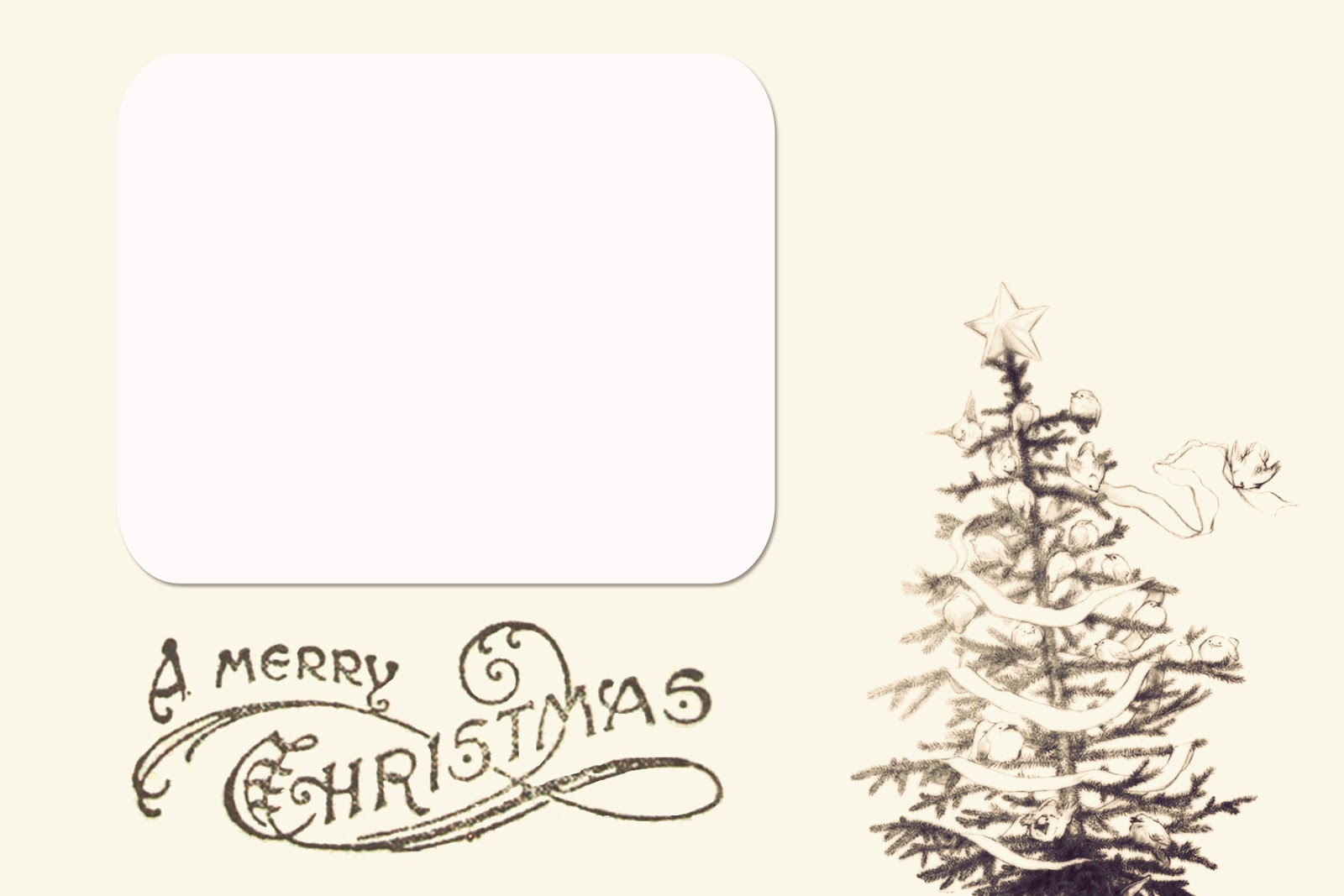 Chloe Moore Photography // The Blog: Free Christmas Card Templates!