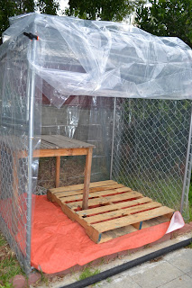 dog kennel to greenhouse conversion