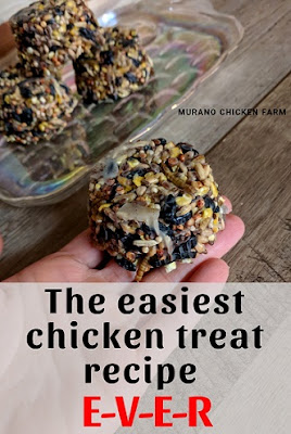Chicken treats from easy to follow recipe