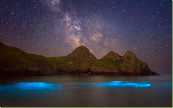 The blue glow comes from Noctiluca scintillans, aka sea sparkle