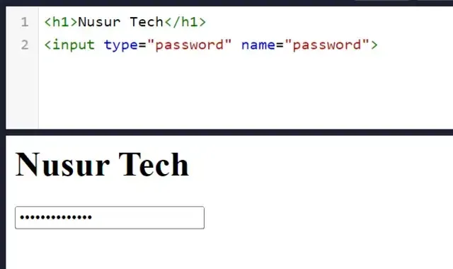 القيمة password في الوسم input في html