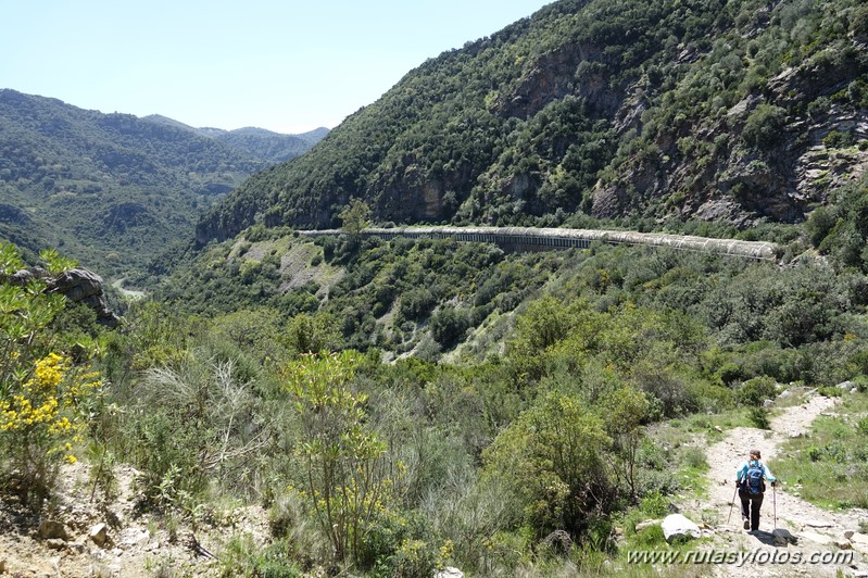 Estación de Cortes - Cañón de las Buitreras - Estación de Gaucín