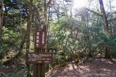 竜宮洞穴（セの海神社）