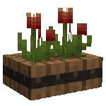red_tulip_0_wall
