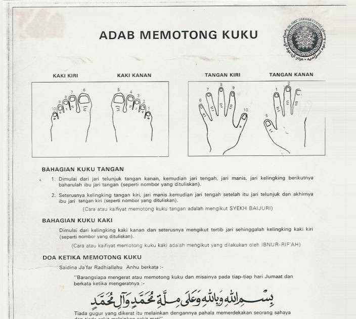 Blog hukum-hakam: Hadith Palsu Tentang Adab Potong Kuku