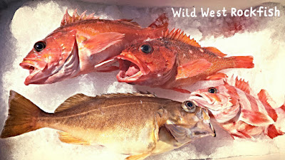 vermilion, speckled, starry, flag, local seafood