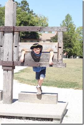 stockade