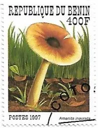 Selo Amanita inaurata