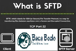 Pengertian dan Cara Kerja SFTP