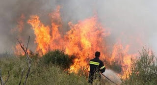Ηλεία: «Ύποπτη» πυρκαγιά στην Καλλιθέα