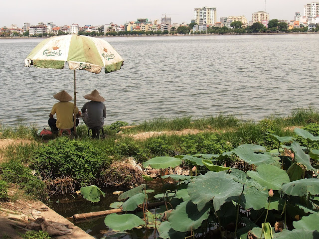 Pollution Aqua Farming